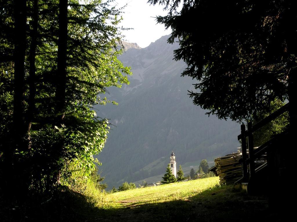 Residence Lo Peyo Champoluc Εξωτερικό φωτογραφία