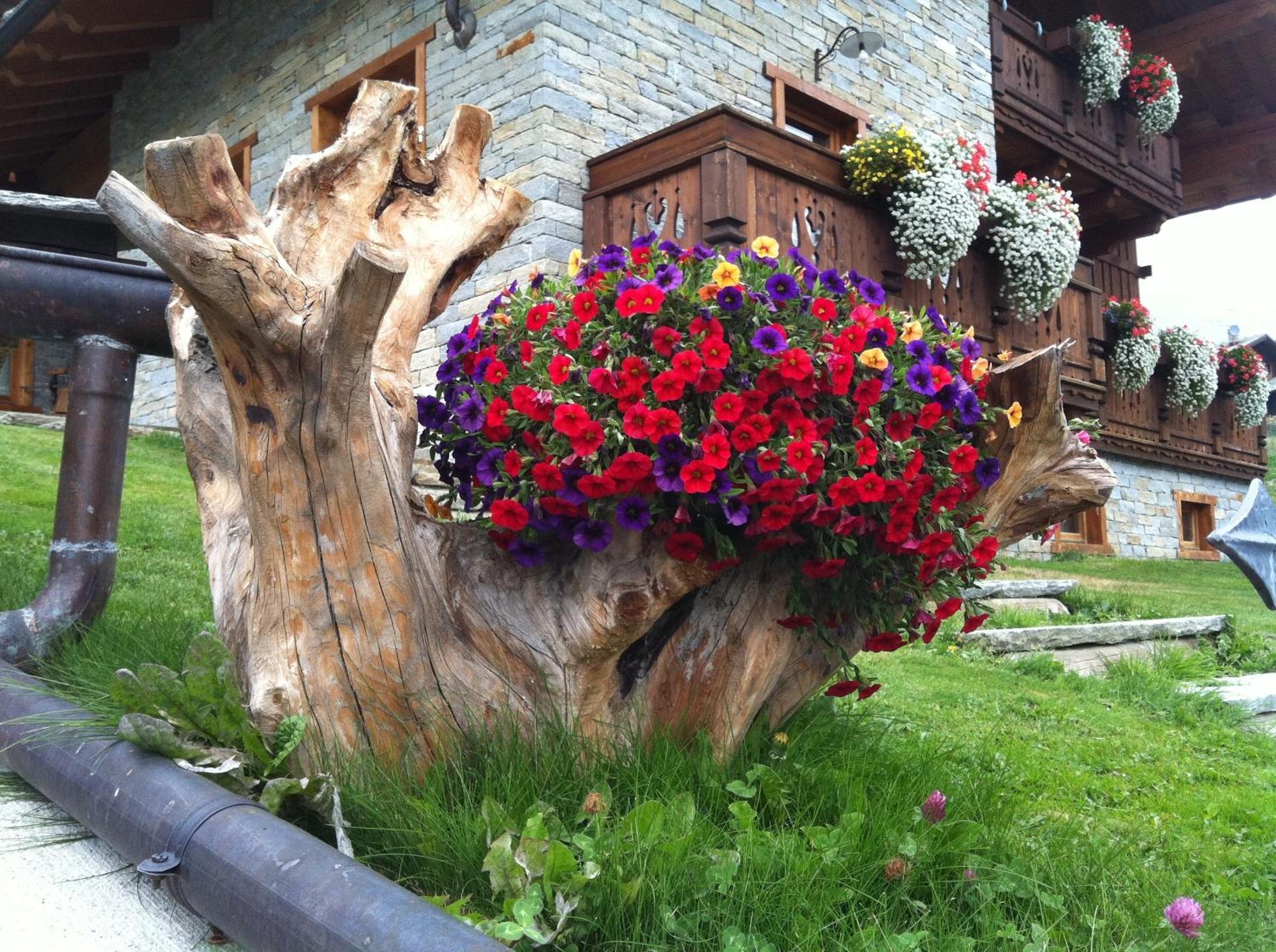 Residence Lo Peyo Champoluc Εξωτερικό φωτογραφία