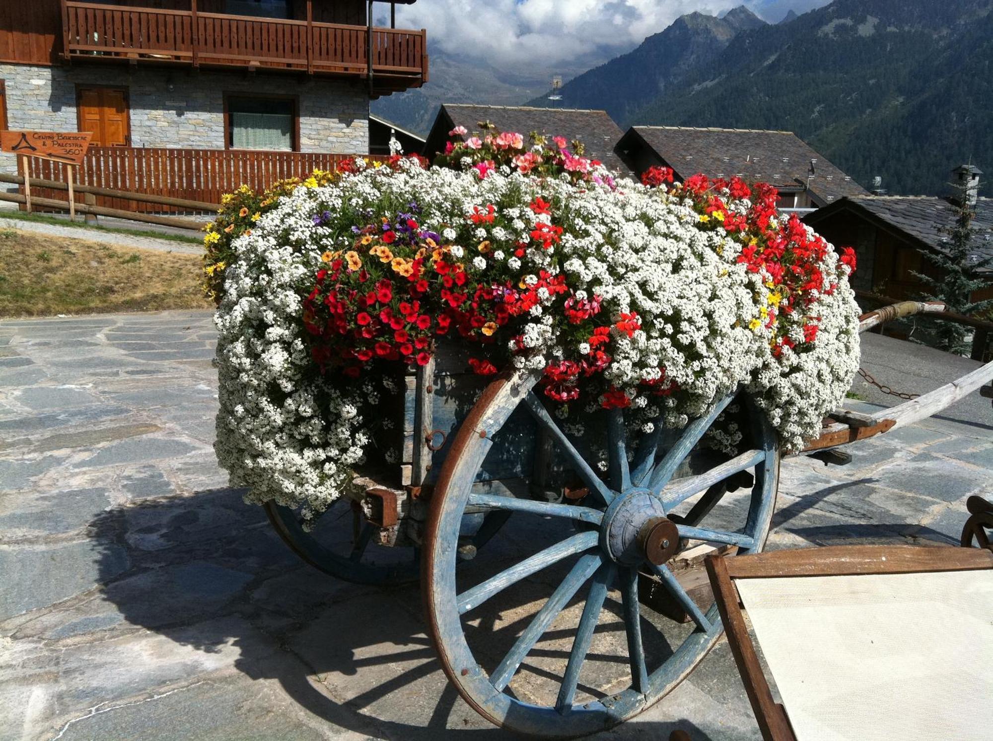 Residence Lo Peyo Champoluc Εξωτερικό φωτογραφία